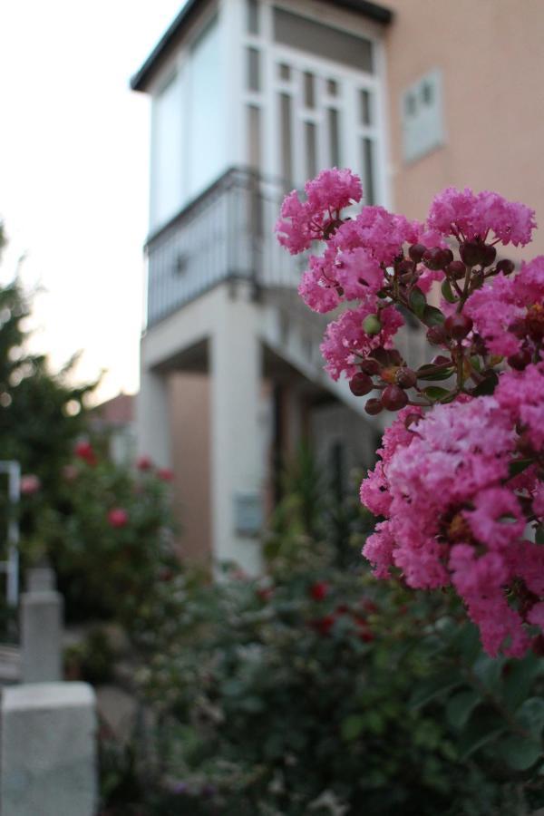 Apartman Anja เทรบินเย ภายนอก รูปภาพ